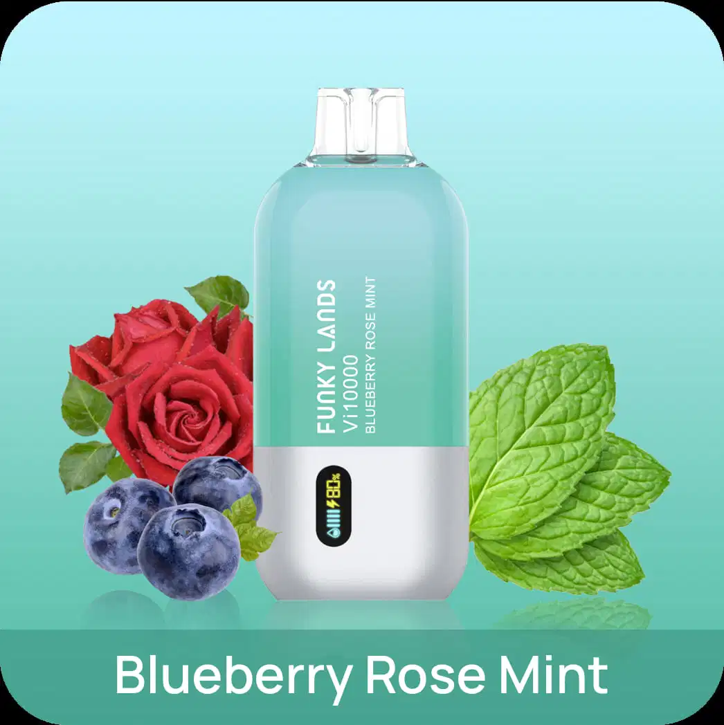 Elf Funky Lands Vi10000 Bluberry Rose Mint
