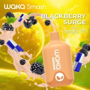 Waka  Smash  6000  Blackberry  Surge
